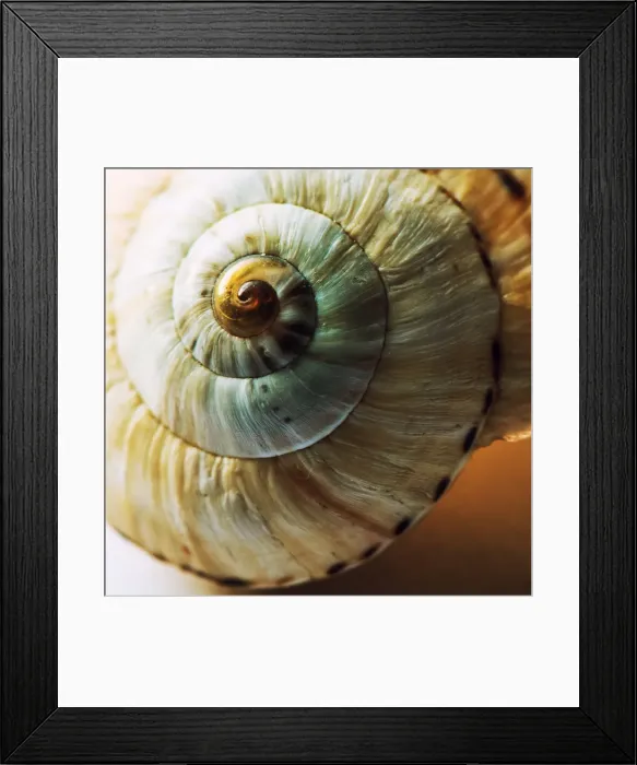 Framed Print : Spiral1(1 of 1)