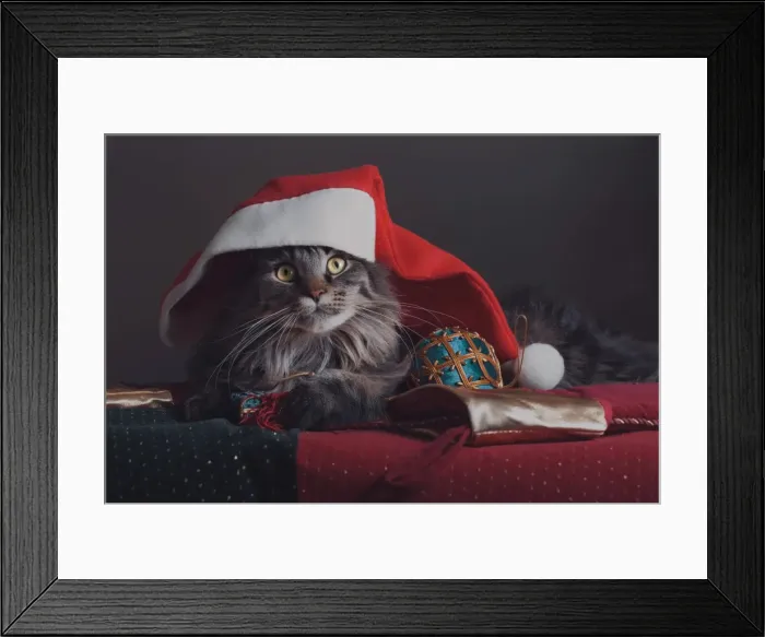 Framed Print : Christmas. Australian Views Christmas