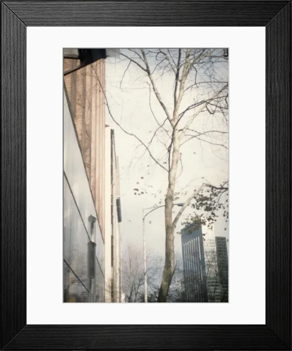 Framed Print : Urban scenery with tree Framed Print : Urban scenery with tree