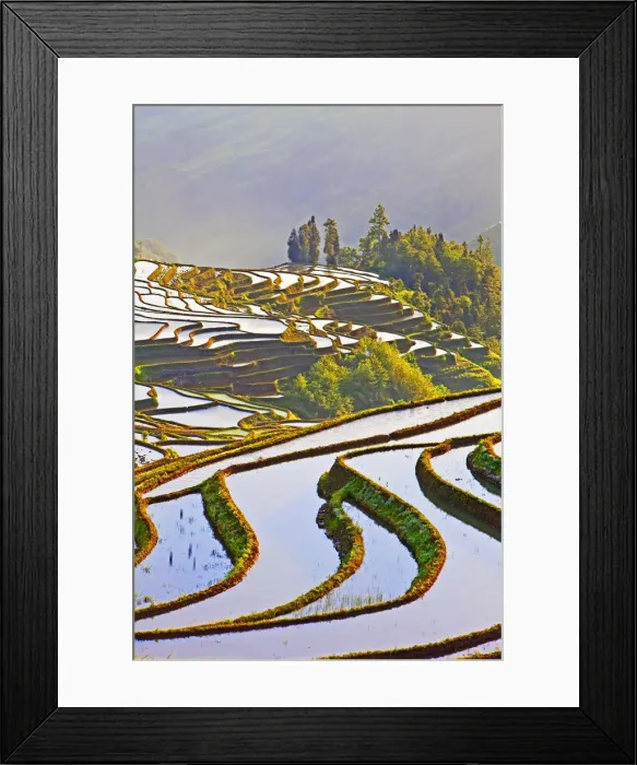 Framed Print : Laohuzui terraces, Yuanyang, China Framed Print : Laohuzui terraces, Yuanyang, China