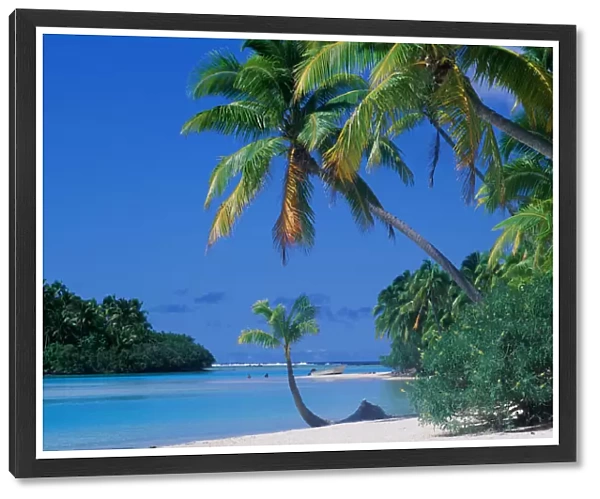 Beach, Trees, and Lagoon in Cook Islands, Polynesia