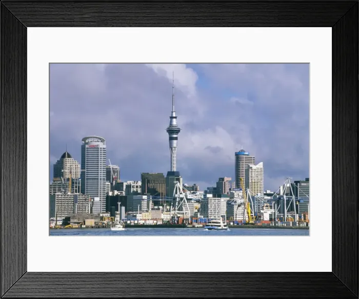Framed Print : Auckland City View Framed Print : Auckland City View