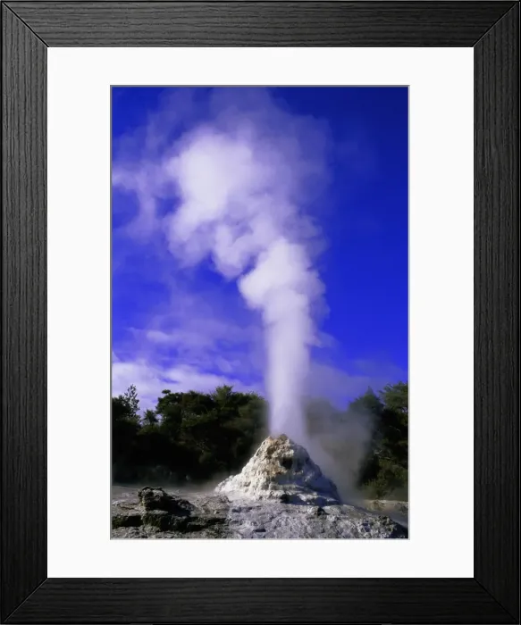 Framed Print : New Zealand, North Island, Waiotapu, Lady Knox Geyser, winter Framed Print : New Zealand, North Island, Waiotapu, Lady Knox Geyser, winter