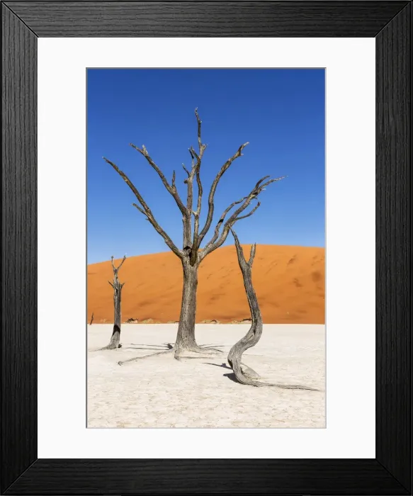 Framed Print : Guardians of Deadvlei