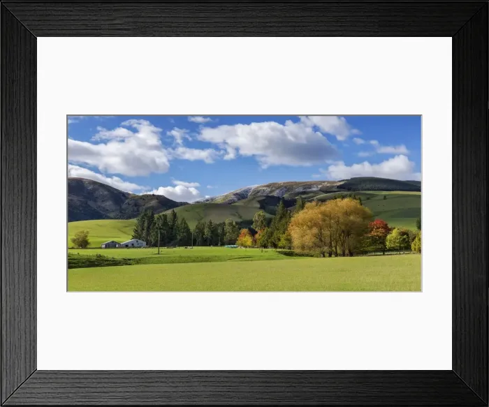 Framed Print : New Zealand farm