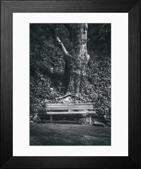 Framed Print : Black and white bench