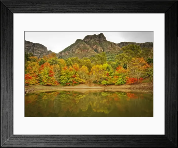 Framed Print : Autumn Colours, Cape Town, South Africa