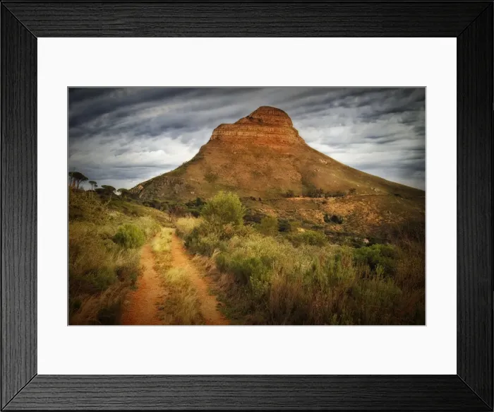 Framed Print : Lions Head