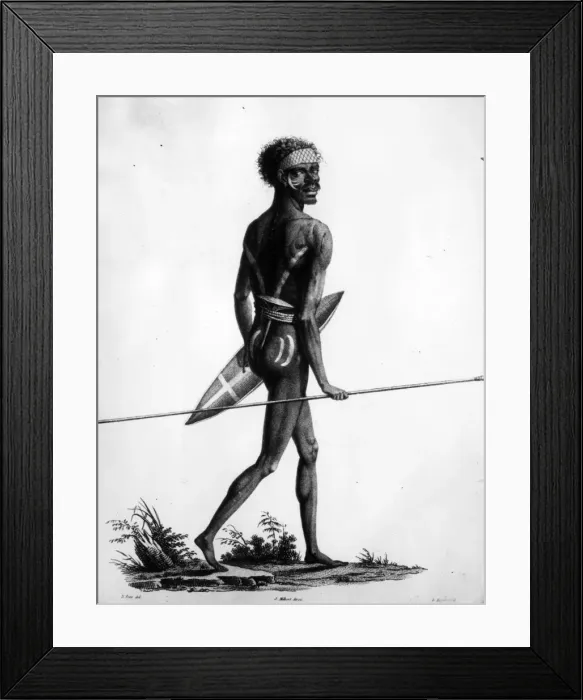 Framed Print : Australian Hunter Framed Print : Australian Hunter
