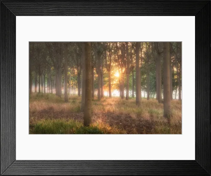 Framed Print : richmond