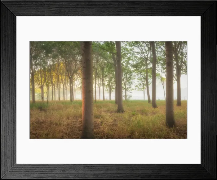 Framed Print : richmond