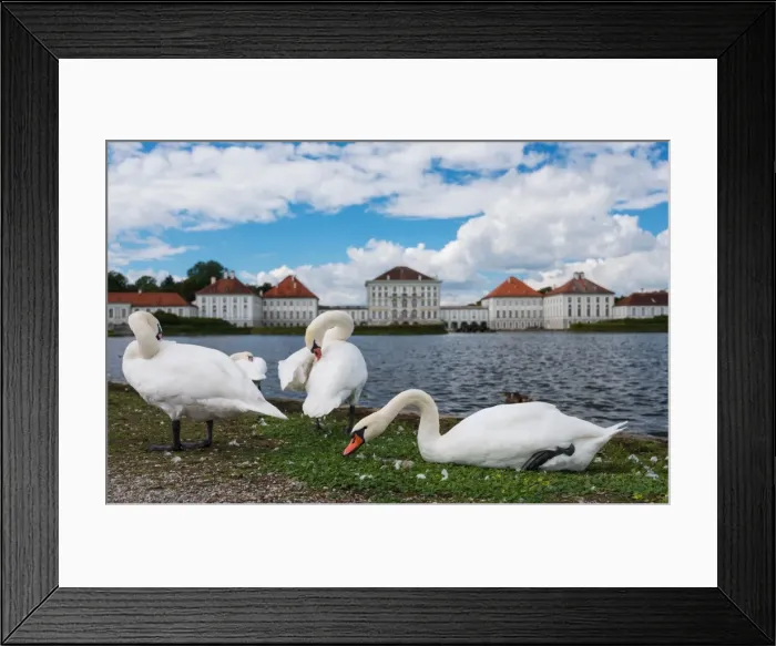 Framed Print : Schloss Nymphenburg