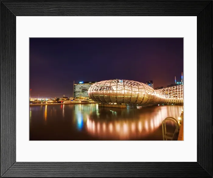 Framed Print : Web Bridge Framed Print : Web Bridge