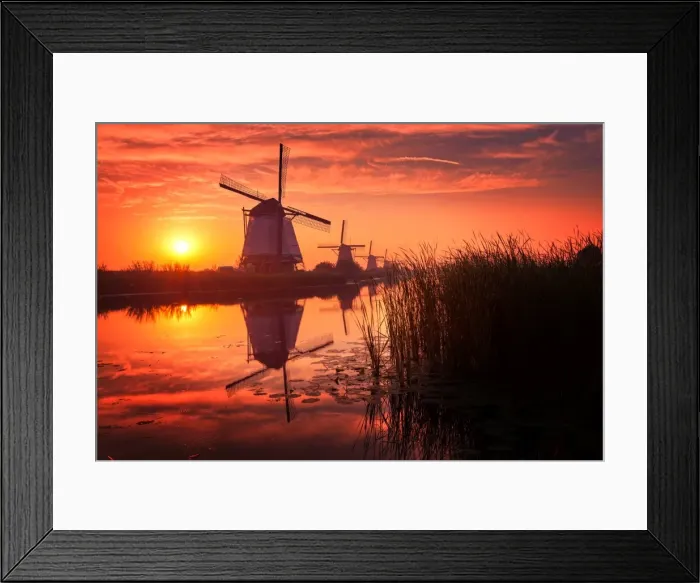Framed Print : Kinderdijk Sunrise