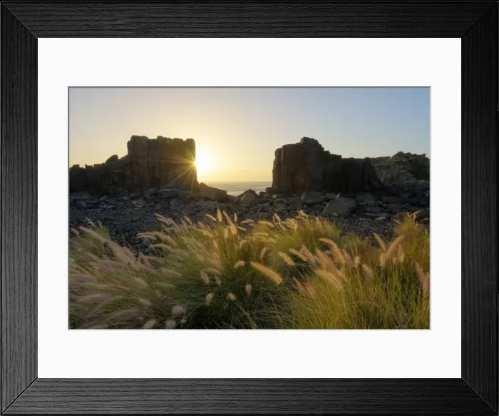 Framed Print : Bombo