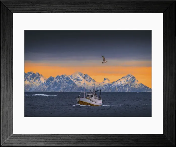 Framed Print : A winter scene at Henningsvaer and the returning cod boats, Lofoten Peninsular, arctic circle of Norway Framed Print : A winter scene at Henningsvaer and the returning cod boats, Lofoten Peninsular, arctic circle of Norway