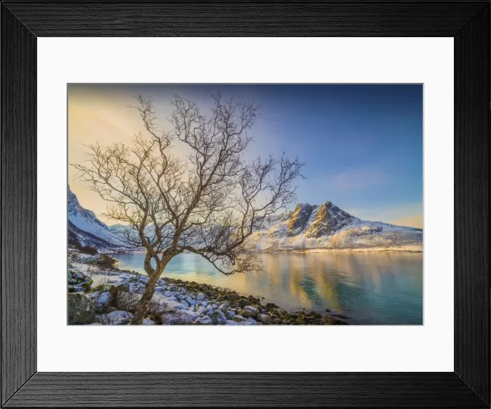 Framed Print : A snowy scene at Grotfjord in the winter, arctic circle of Norway
