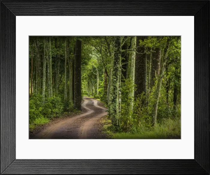 Framed Print : Beefsteak road, Norfolk Island, south pacific ocean