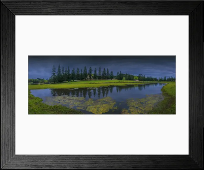 Framed Print : Reflections in standing water on the Kingston common, Norfolk Island, south pacific ocean