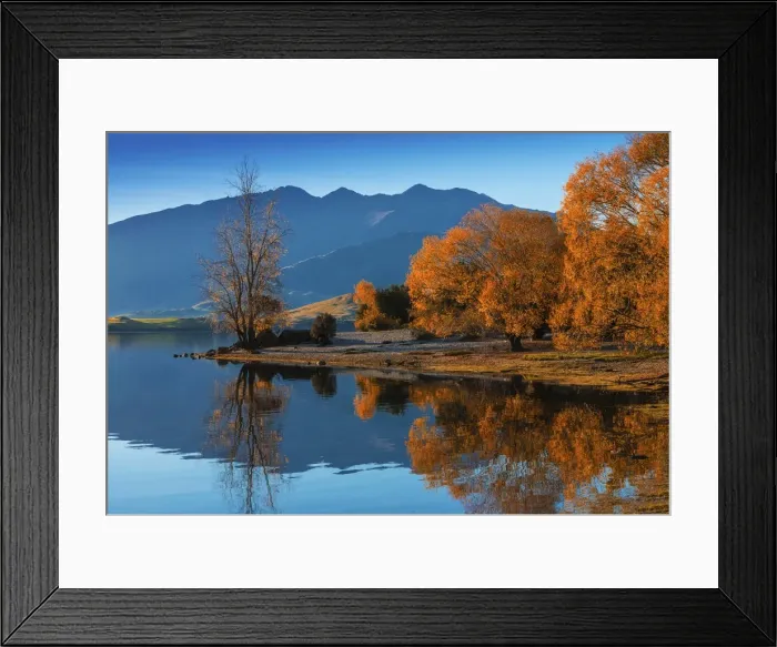 Framed Print : Autumn colours around Glendhu bay, near lake Wanaka, South Island of New Zealand