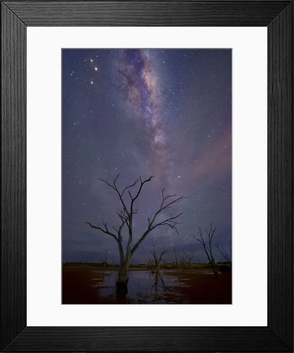 Framed Print : milkyway and stars at night with dead tree at a swamp Framed Print : milkyway and stars at night with dead tree at a swamp