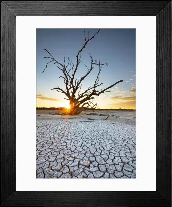 Framed Print : Desert sun star at sunset Framed Print : Desert sun star at sunset