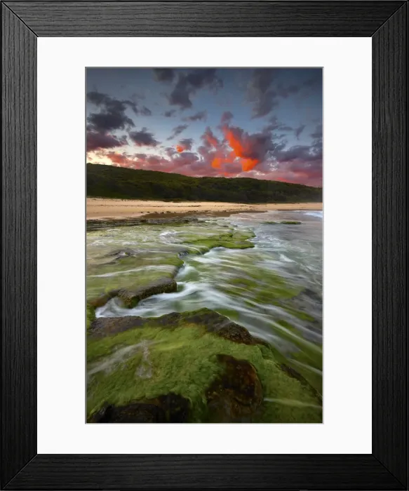 Framed Print : Green moss over rocky platform Framed Print : Green moss over rocky platform