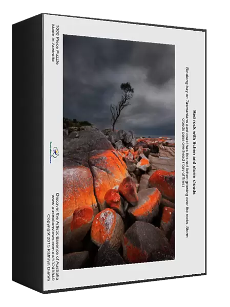 Red rock with lichen and storm clouds