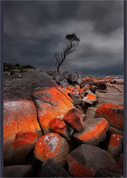 Red rock with lichen and storm clouds