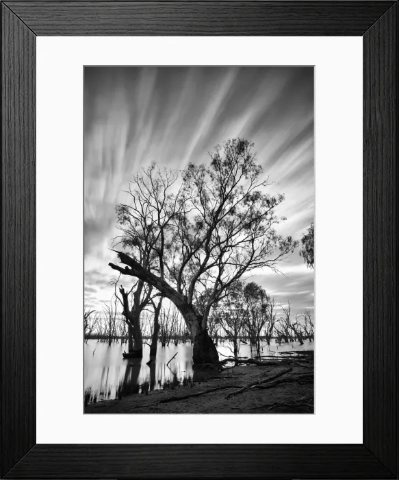 Framed Print : Tree by lake with long exposure clouds Framed Print : Tree by lake with long exposure clouds