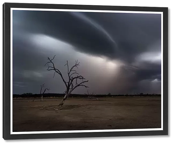 storm clouds and lightning with dead tree