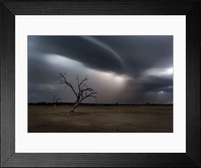 Framed Print : storm clouds and lightning with dead tree Framed Print : storm clouds and lightning with dead tree