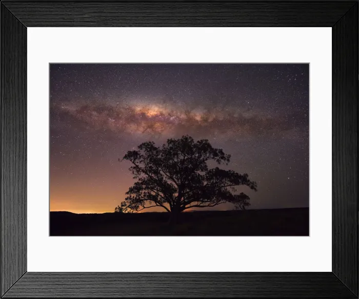 Framed Print : Tree with milkyway above it Framed Print : Tree with milkyway above it