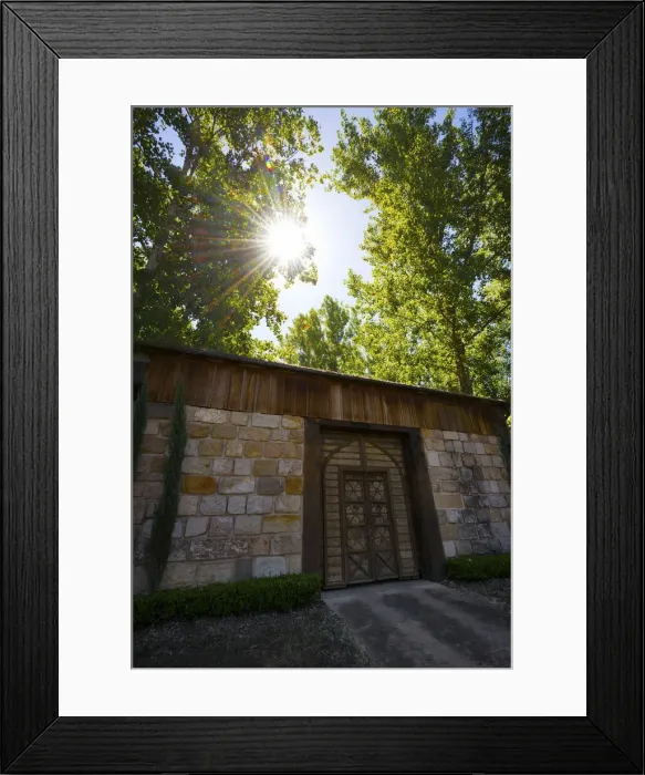 Framed Print : Sunlight through trees over a building Framed Print : Sunlight through trees over a building