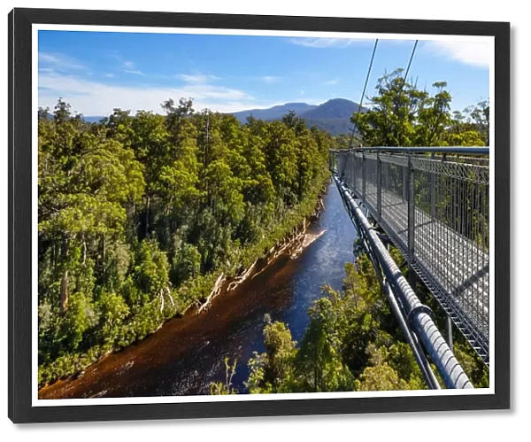 View of Huon River and the Cantilever Bridge on the Tahune Forest AirWalk, Huon Valley, Southern Tasmania, Australia
