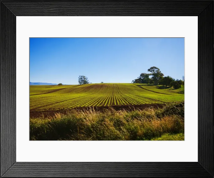Framed Print : View of Clear Blue Sky with Vegetable Farm in the Foreground in Devonport, North Tasmania, Australia