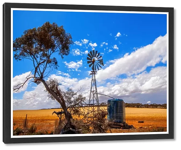 A Truly Australian Scene of a Eucalyptus (Gum) Tree, Scrubs and a Multi-Bladed Wind Powered Water Pump on a Farm Field in Australia