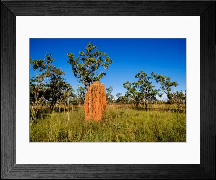 Framed Print : Magnetic Termite Mound, Nitmiluk National Park, Northern Territory, Australia Framed Print : Magnetic Termite Mound, Nitmiluk National Park, Northern Territory, Australia