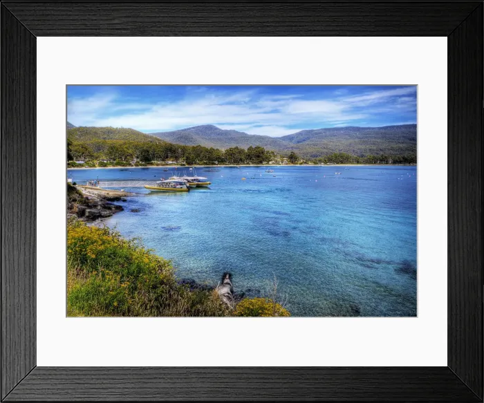 Framed Print : The Adventure Cruise Wharf in Bruny Island, Tasmania, Australia