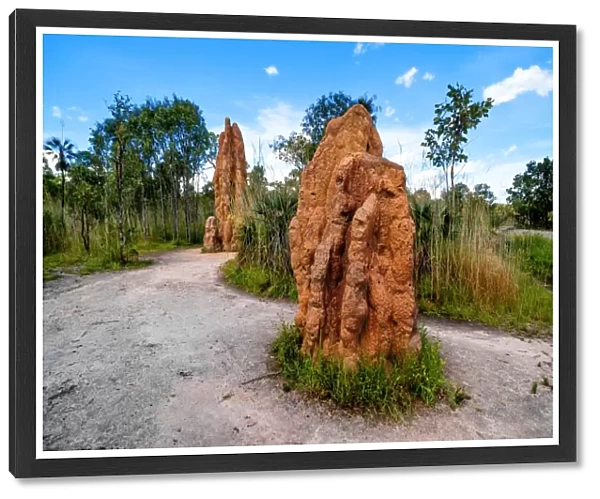 Magnetic Termite Mounds, Litchfield National Park, North Territory, Australia