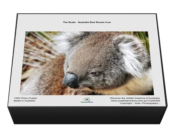 The Koala - Australia Best Known Icon