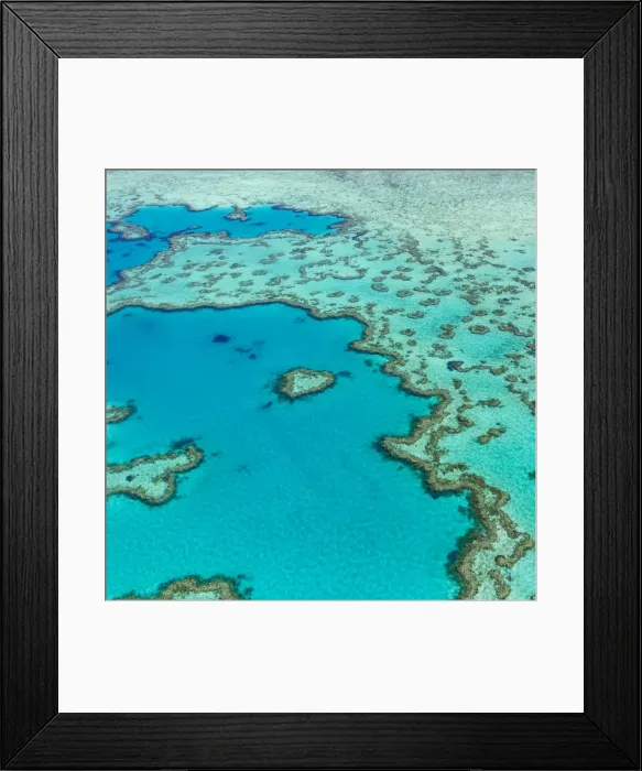 Framed Print : Great Barrier Reef, Queensland, Australia Framed Print : Great Barrier Reef, Queensland, Australia