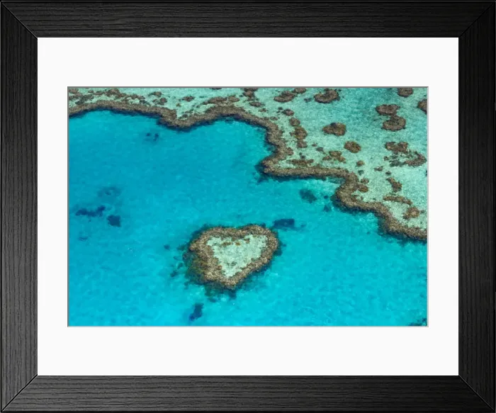 Framed Print : Great Barrier Reef, Queensland, Australia Framed Print : Great Barrier Reef, Queensland, Australia