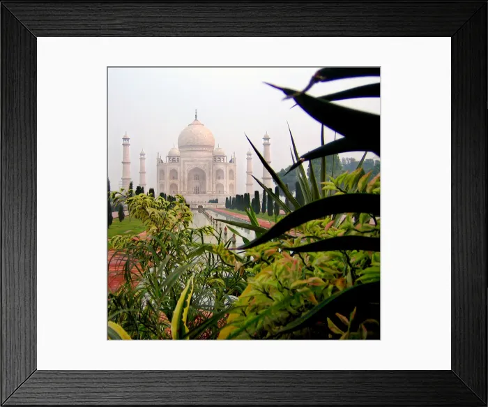 Framed Print : The Taj Mahal India Framed Print : The Taj Mahal India