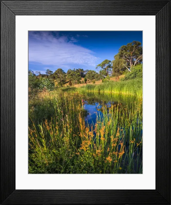 Framed Print : Livingstone Creek reserve at Omeo, in the Alpine mountainous region of north east Victoria, Australia Framed Print : Livingstone Creek reserve at Omeo, in the Alpine mountainous region of north east Victoria, Australia