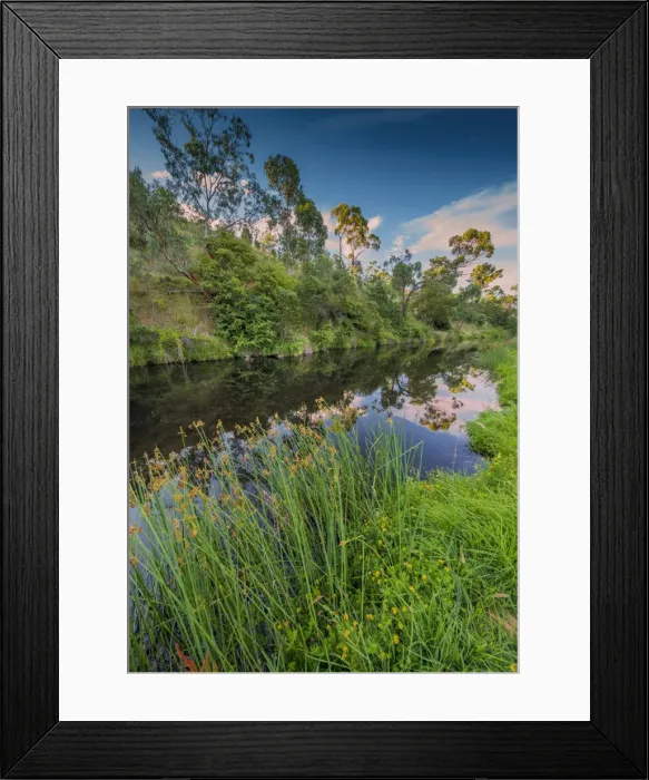 Framed Print : Livingstone Creek reserve at Omeo, in the Alpine mountainous region of north east Victoria, Australia Framed Print : Livingstone Creek reserve at Omeo, in the Alpine mountainous region of north east Victoria, Australia