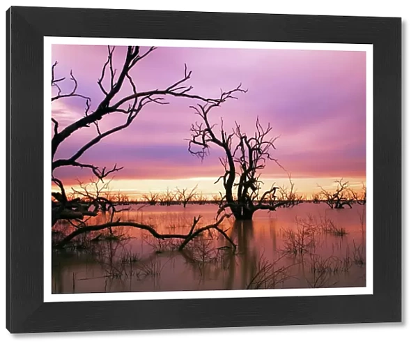 Sunset at Menindee Lakes, Outback NSW, Australia