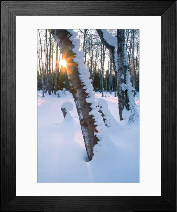 Framed Print : Russian Winter Framed Print : Russian Winter