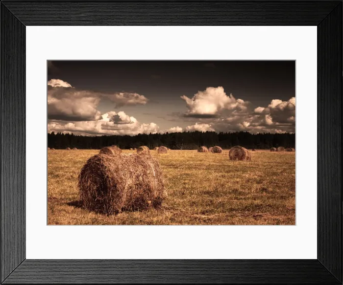 Framed Print : Hot summer day in Russia