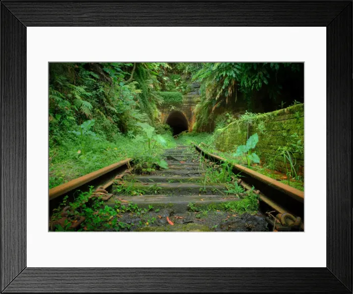 Framed Print : Abandoned Helensburgh railway station, Helensburgh, NSW, Australia Framed Print : Abandoned Helensburgh railway station, Helensburgh, NSW, Australia